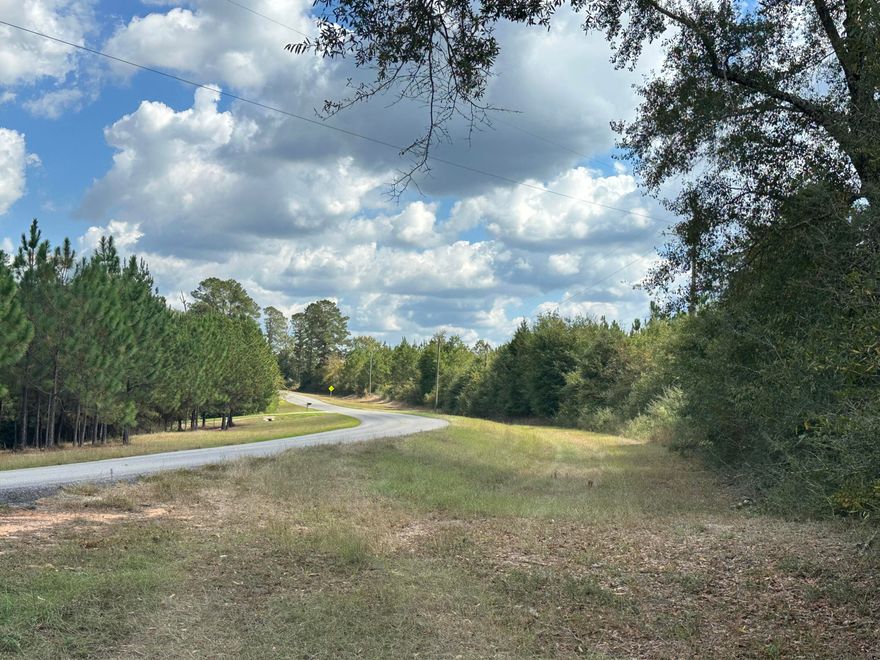 Do not enter with an agent who has an appointment. Tucked along New Ebenezer Road in Laurel Hill, this expansive tract offers a remarkable blend of natural beauty and long-term potential. Towering pines, gentle elevation changes, and existing trails throughout the property create an inviting landscape suited for a variety of future uses. A paved public road provides easy access, with power available along the frontage and ample space for privacy or development planning. Whether envisioned for recreation, future homesites, or long-term investment, this parcel showcases the quiet charm of North Okaloosa County while remaining easily accessible to the surrounding community.
