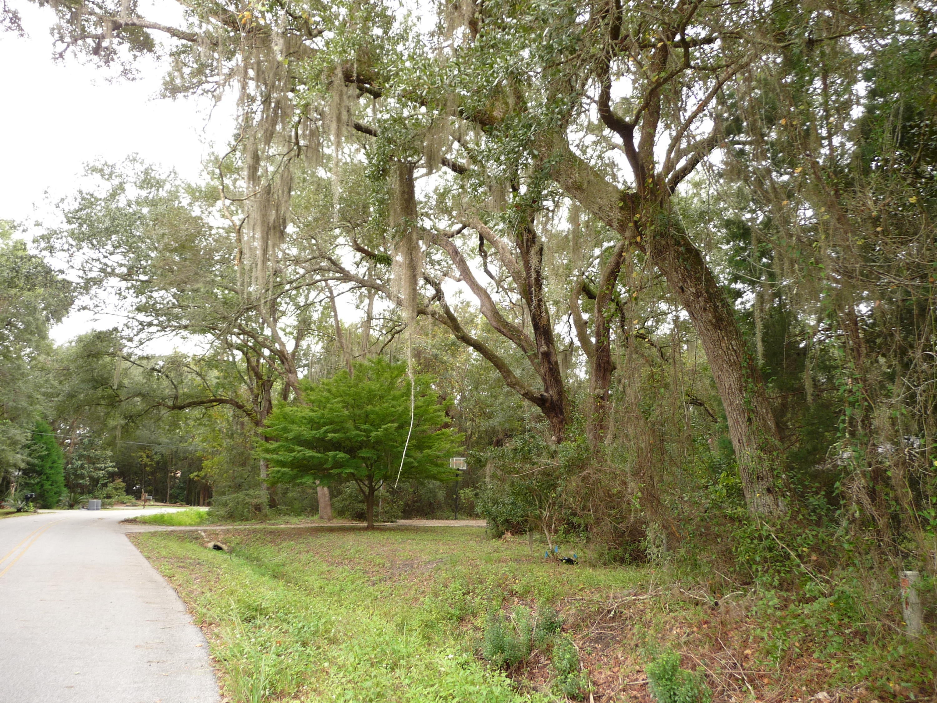 Sadlers unrecorded - Land