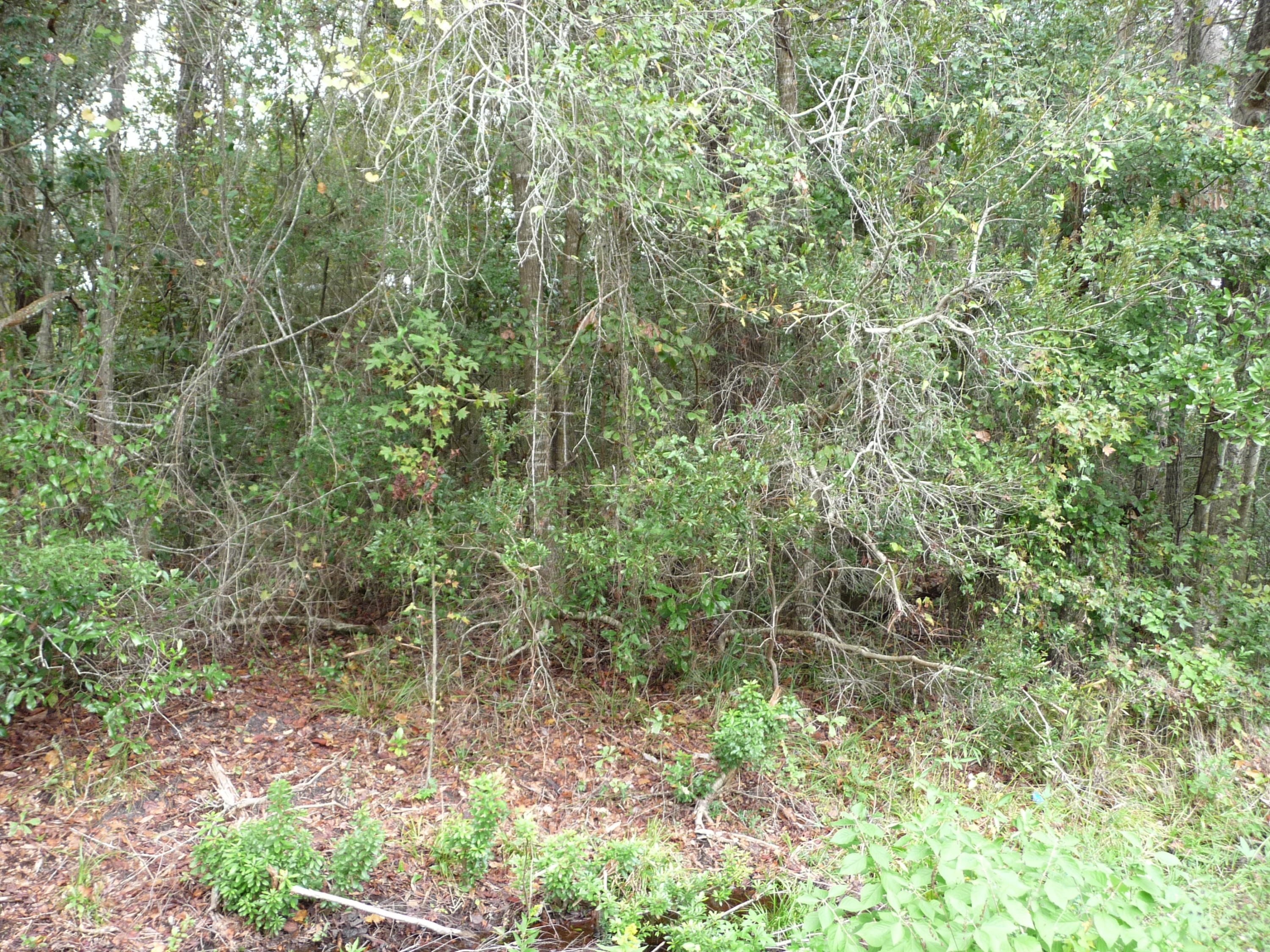 Sadlers unrecorded - Land