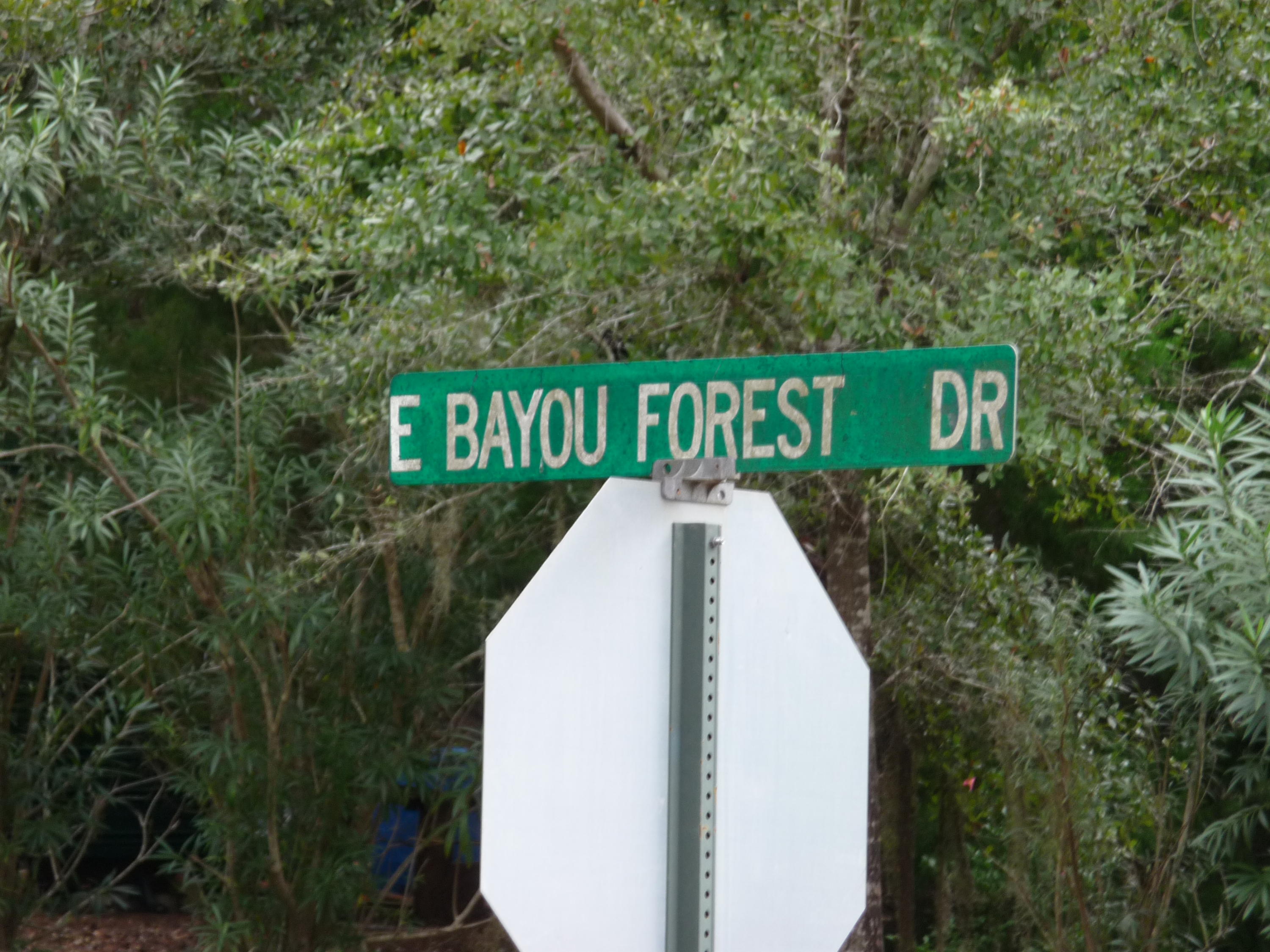 Vacant .533 Acre wooded lot across the street from the bay. This lot is in south Freeport, close to Hwy 331 for a Short drive to South Walton Beaches. Close to Black Creek River. The new Publix is being built 2 miles up the road. If you are looking for a lot to build a new house, look here first!