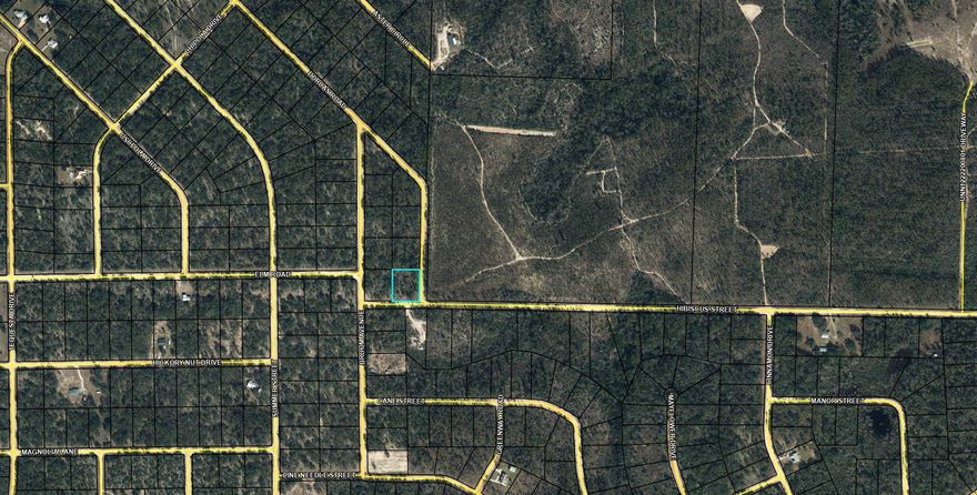 Large 1.065 acre lot in Compass Lake in the Hills. There is a voluntary HOA of $135 a year, but what a great price for all the amenities that are included such as: access to 2 lakes for fishing, tennis, horse stables / riding, rental cabins, RV spots, boat rentals, clubhouse, and a golf range. Being an all-sports lake, enjoy water skiing, tubing, jet skiing, boating, sailing, kayaking & swimming. No need to worry about lunch while out on the water when you have a boat accessible shoreline restaurant. This location is great for someone who enjoys nature and a short drive to the beach since it is located half way between Panama City And Dothan. The area is rich in historical significance, with many restored antebellum plantation homes open for tours or as bed-and-breakfast