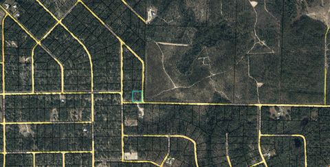 Photo of Lot 6 Hibiscus Street, Marianna, FL 32448 (MLS # 988305)