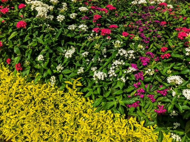 STERLING SHORES - Residential