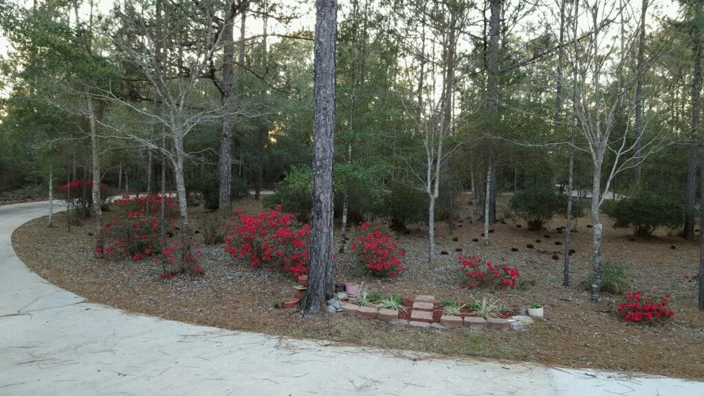 KENNEDY LAKE (UNRECORDED) - Residential