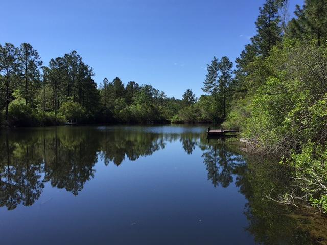 KENNEDY LAKE (UNRECORDED) - Residential