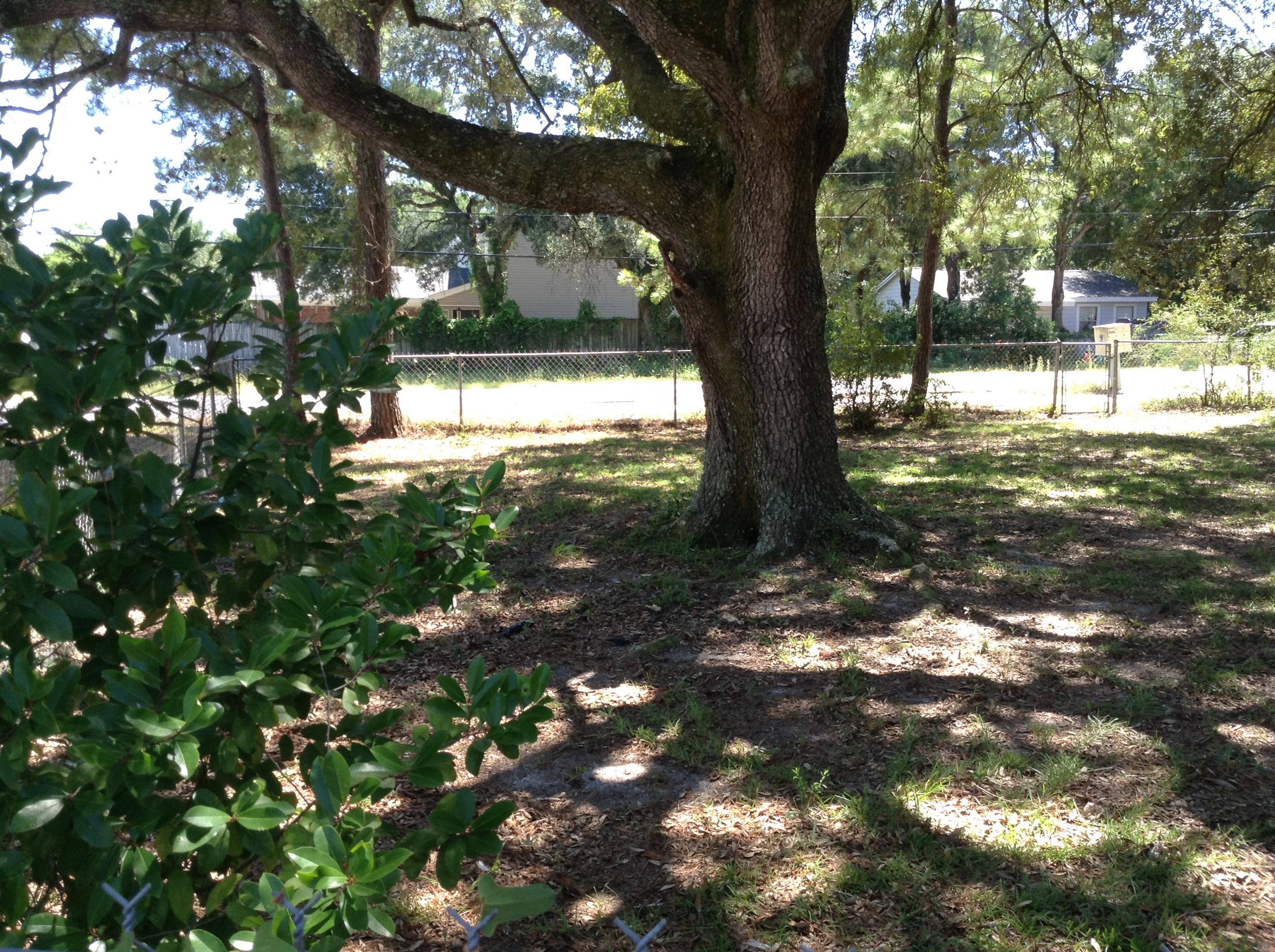 FISHER S/D - Residential