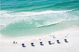 Elation - Residential Lease