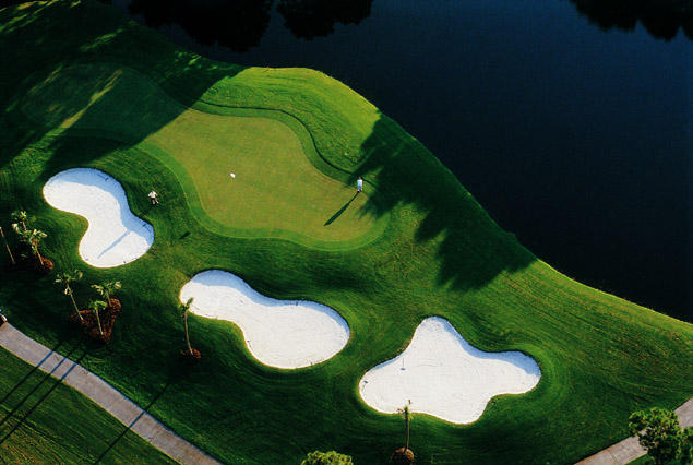 Elation - Residential Lease