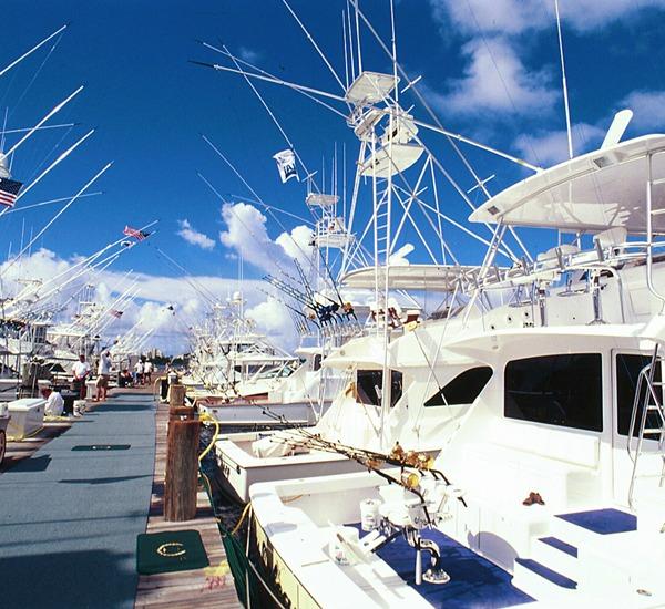 Elation - Residential Lease