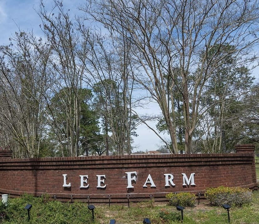 LEE FARMS PH II - Residential