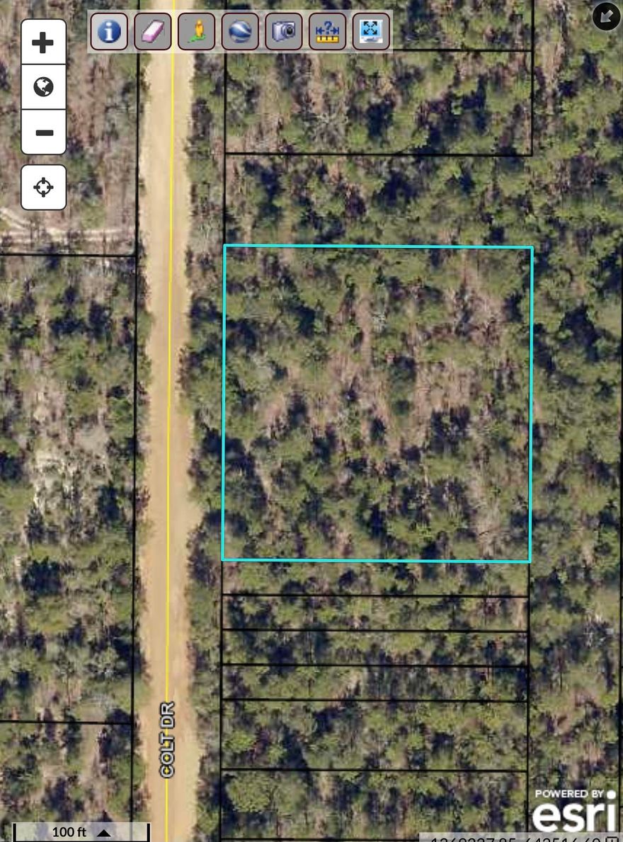 Perfect property for you! Own your own piece of Florida! Flat land and easy access. Time to build your home! Act fast! Land is selling quick!
