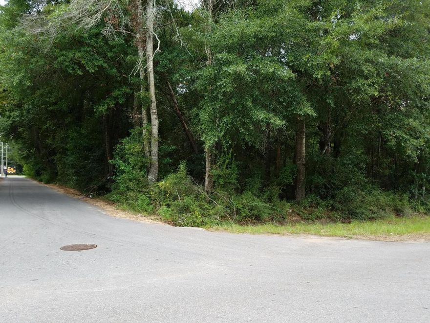 BEAUTIFUL COMMERCIAL AND RESIDENTIAL LAND IN CENTRAL CRESTVIEW!!! TWO PARCELS INCLUDED IN THIS SALE. ALL TOGETHER IT IS 1.25 ACRES. 150 FT FRONTAGE ON US-90 AND 350 FT ON LINDBERG ST. PARCELS HAVE ALREADY BEEN SUBDIVIDED INTO 15 LOTS, IDEAL FOR A TRACK OF TOWN HOMES OR OFFICE BUILDING. RIGHT NEXT TO GAS STATION AND DOCTOR'S OFFICE.