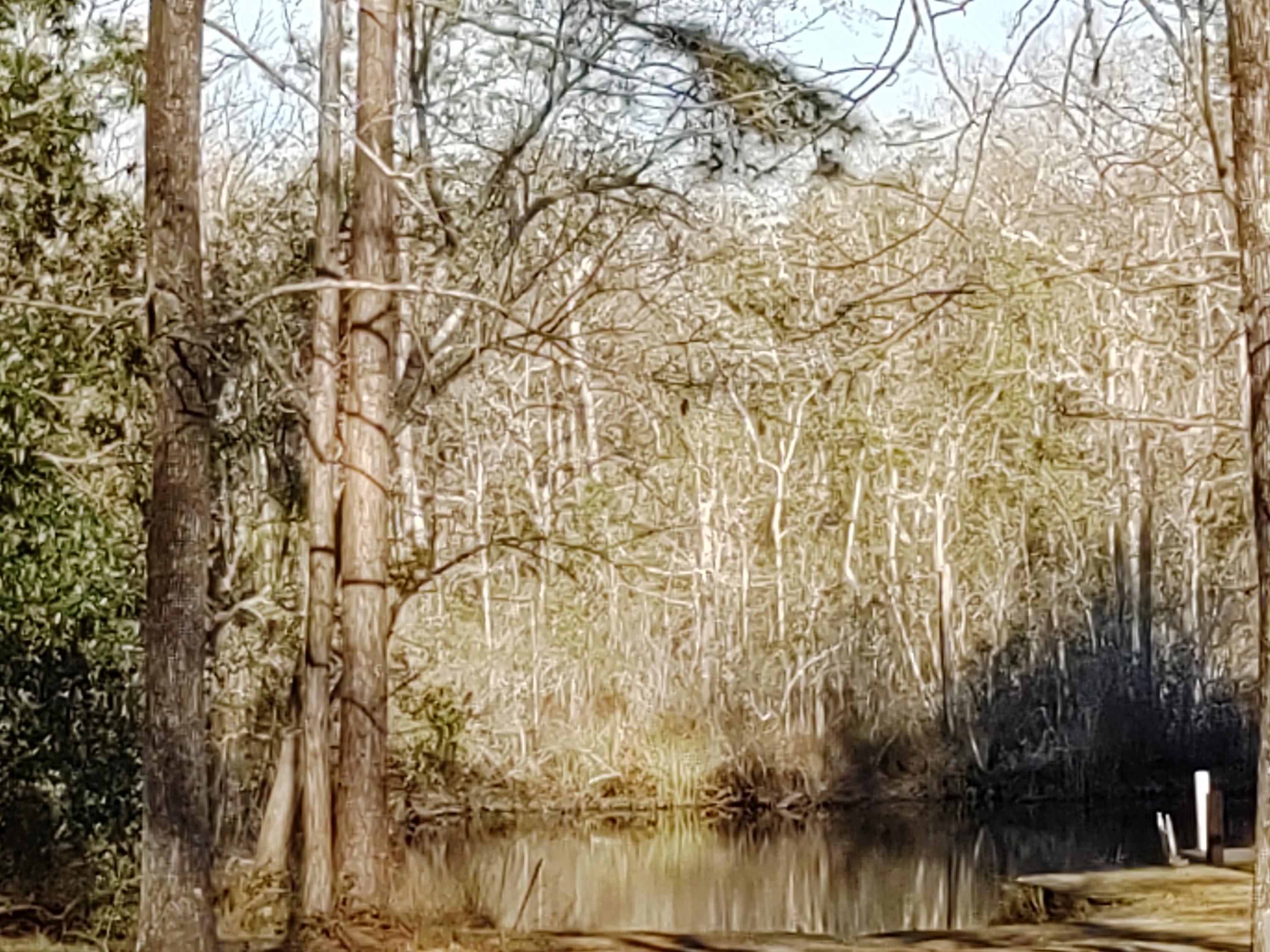 Charlotte Estates Unrecorded S/D - Land