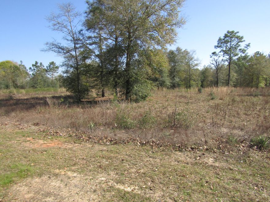 Beautiful piece of property on a paved road. Build your new home or bring your manufactured home. Water meter is already installed saving you the expensive tap fee. Land is partially cleared and ready to go! At 2.5 acres you'll gave plenty of room for your yard, a garden and to build that workshop.