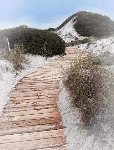 THE PRESERVE AT GRAYTON BEACH - Land