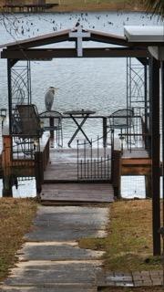 PARADISE ISLAND - Residential