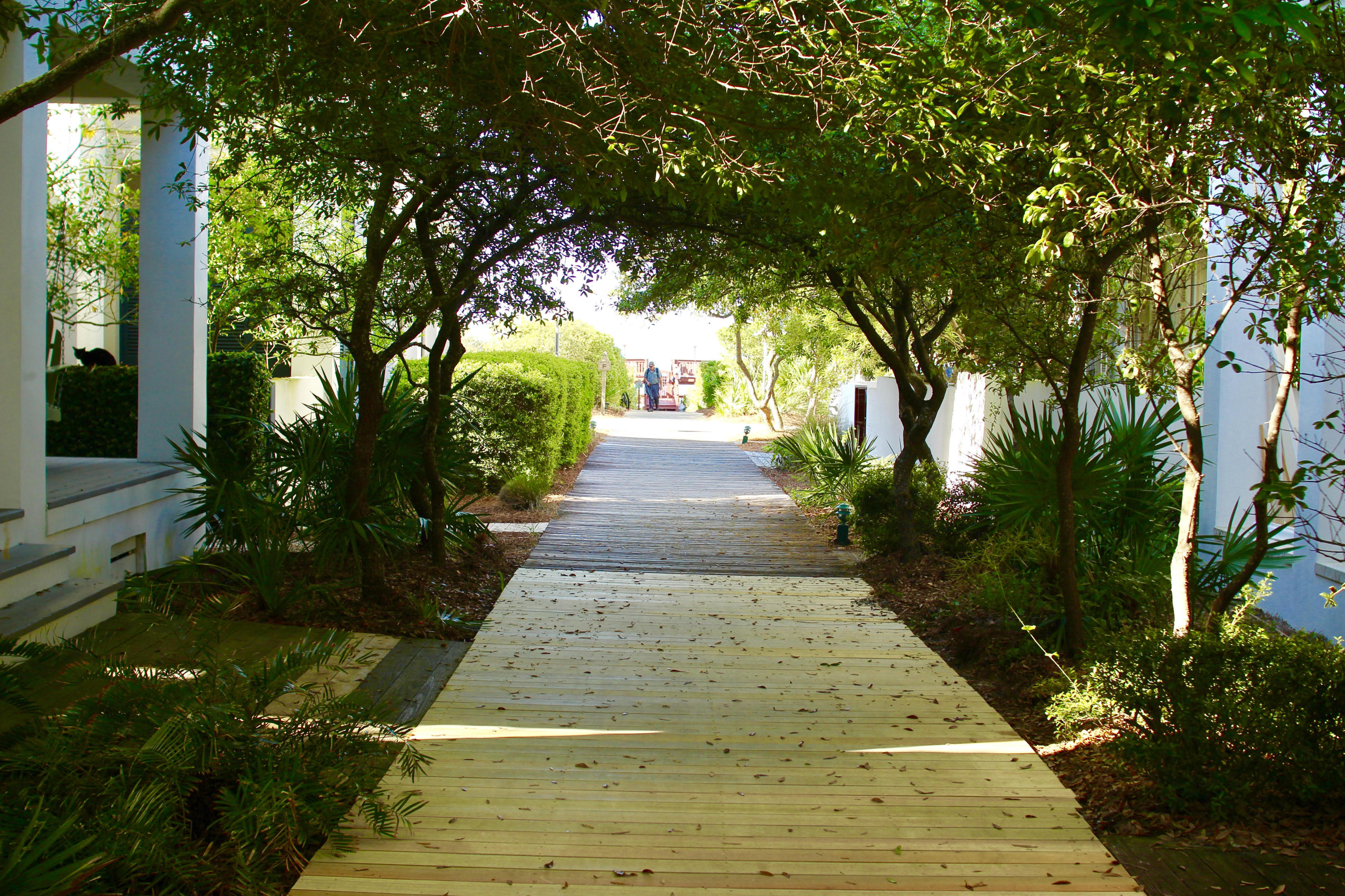 ROSEMARY BEACH - Residential