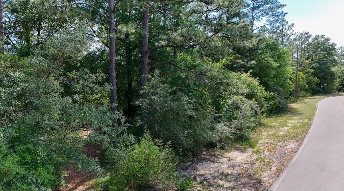 Welcome to the charming community of Oakwood Hills! This lovely parcel of land is situated on a paved road, perfect for building your new home. Utilities are conveniently accessible at the road, making the building process a breeze. Embrace the picturesque Florida lifestyle, with shopping and dining options just a short 3.5-mile drive away, and the stunning beaches of South Walton a mere 35-mile journey. Create your dream home on this idyllic location and enjoy all that Oakwood Hills has to offer.