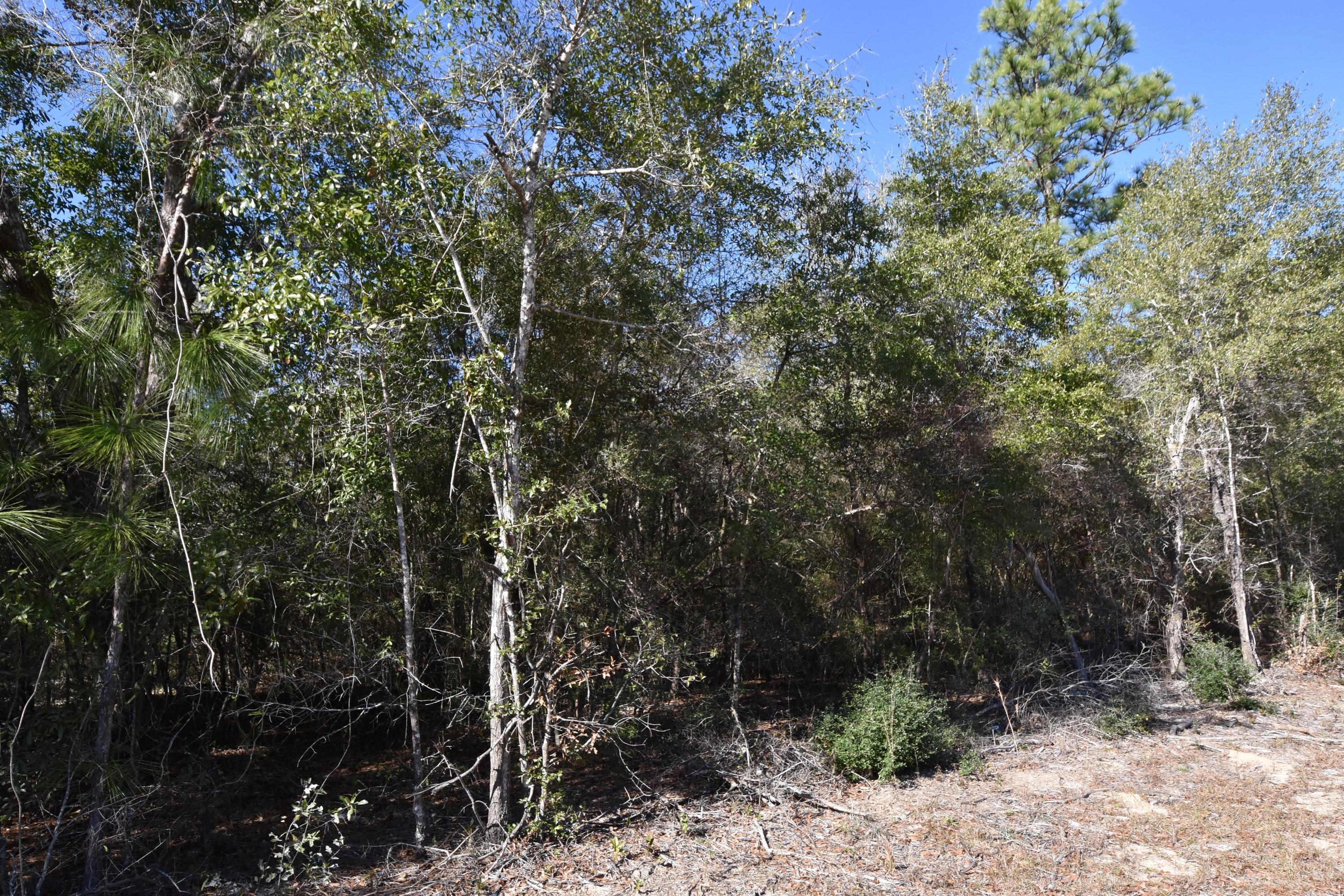 METES & BOUNDS - Land