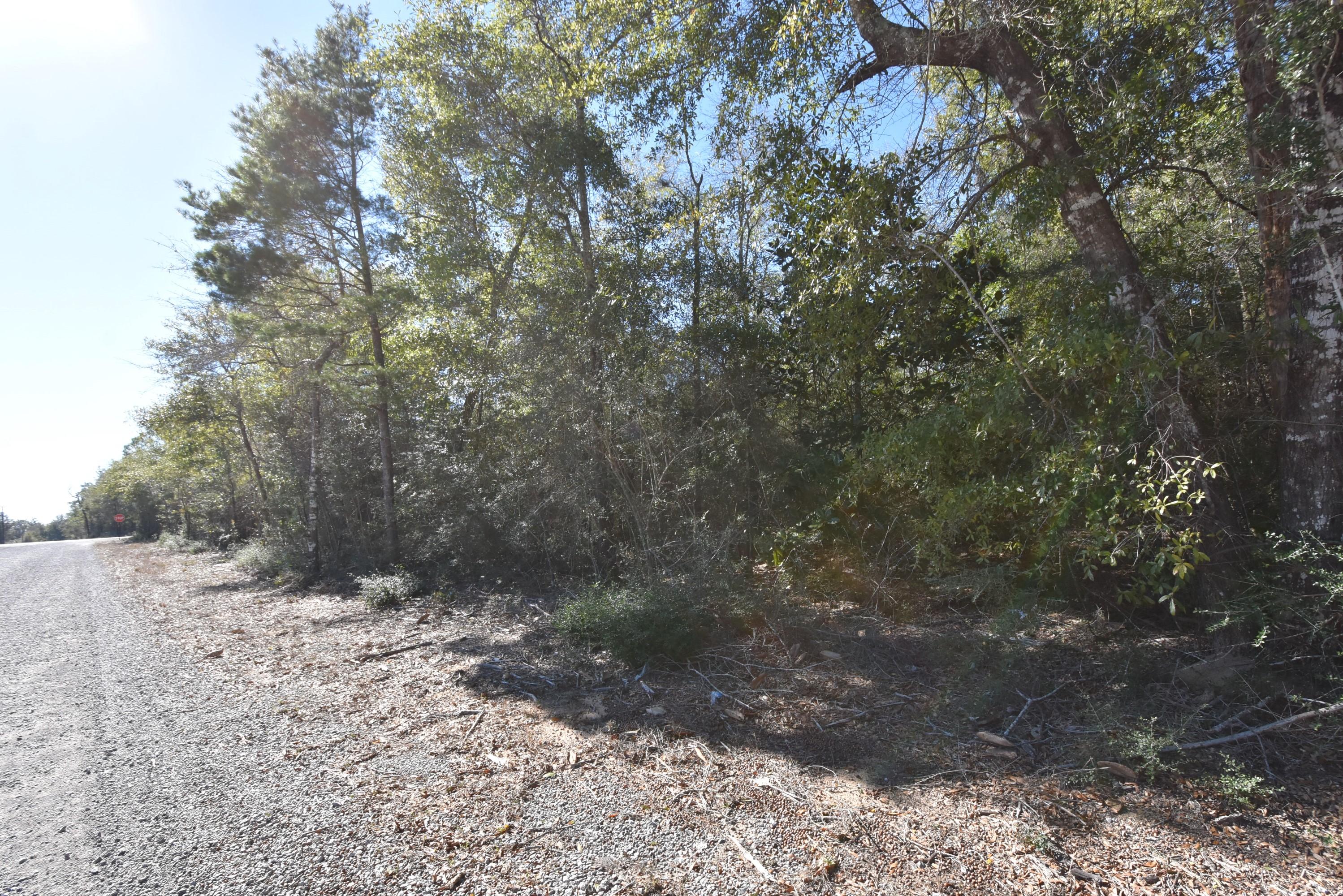 METES & BOUNDS - Land