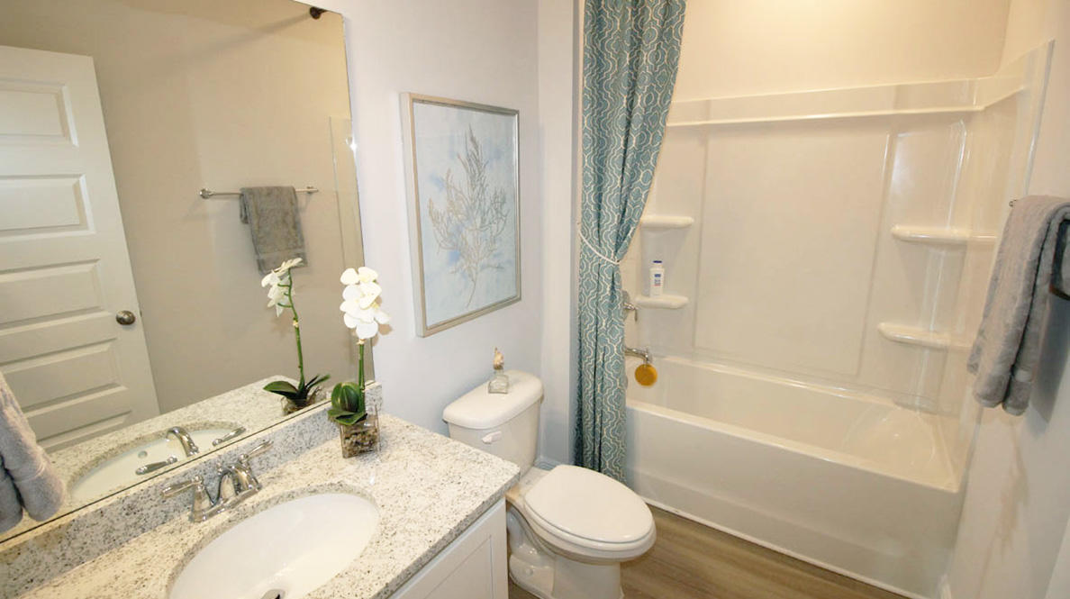 The Preserve at Paradise Cove - Residential