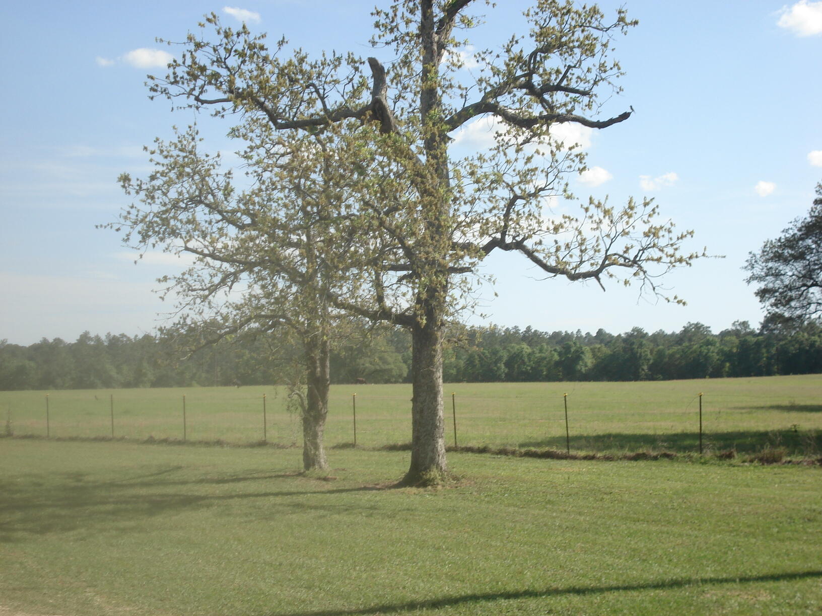 NE1/4 AKA GOVT LOTS 1 & 2 SUBJECT TO COUNTY EASEMET WITH DEED RESTRICTIONSlegal tbd - Land