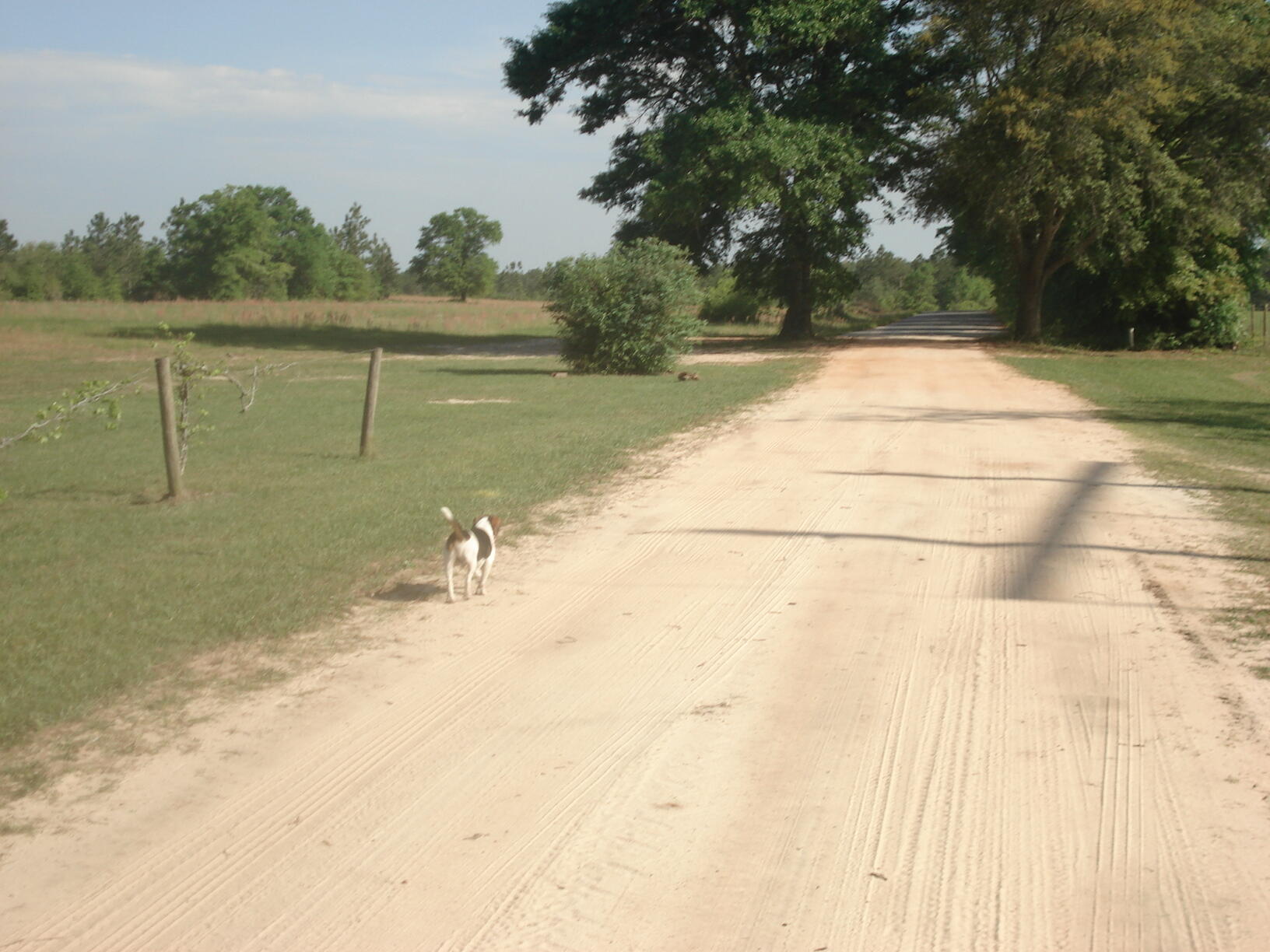 NE1/4 AKA GOVT LOTS 1 & 2 SUBJECT TO COUNTY EASEMET WITH DEED RESTRICTIONSlegal tbd - Land