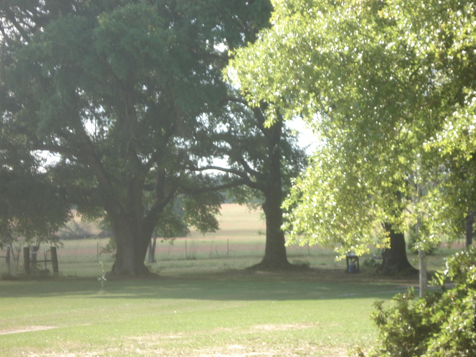 NE1/4 AKA GOVT LOTS 1 & 2 SUBJECT TO COUNTY EASEMET WITH DEED RESTRICTIONSlegal tbd - Land