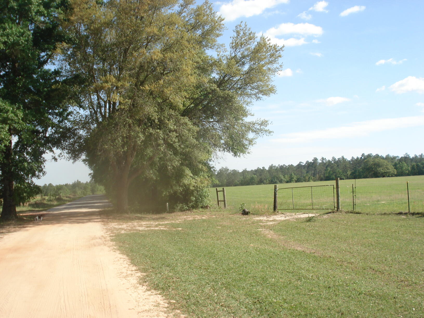 NE1/4 AKA GOVT LOTS 1 & 2 SUBJECT TO COUNTY EASEMET WITH DEED RESTRICTIONSlegal tbd - Land