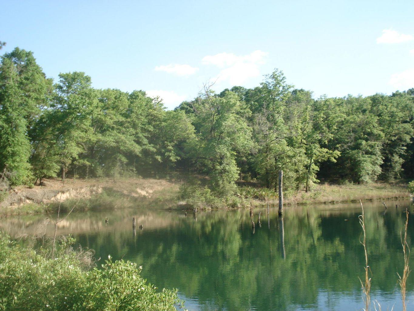 NE1/4 AKA GOVT LOTS 1 & 2 SUBJECT TO COUNTY EASEMET WITH DEED RESTRICTIONSlegal tbd - Land