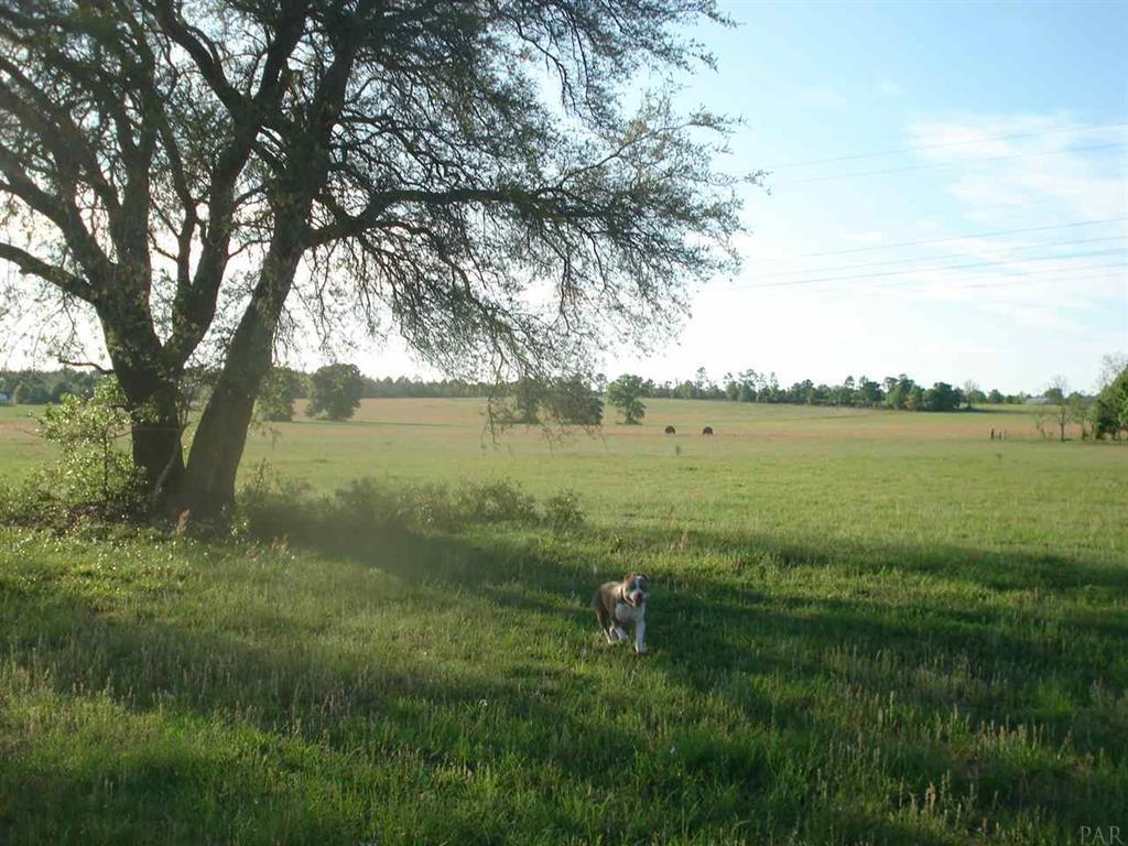 NE1/4 AKA GOVT LOTS 1 & 2 SUBJECT TO COUNTY EASEMET WITH DEED RESTRICTIONSlegal tbd - Land