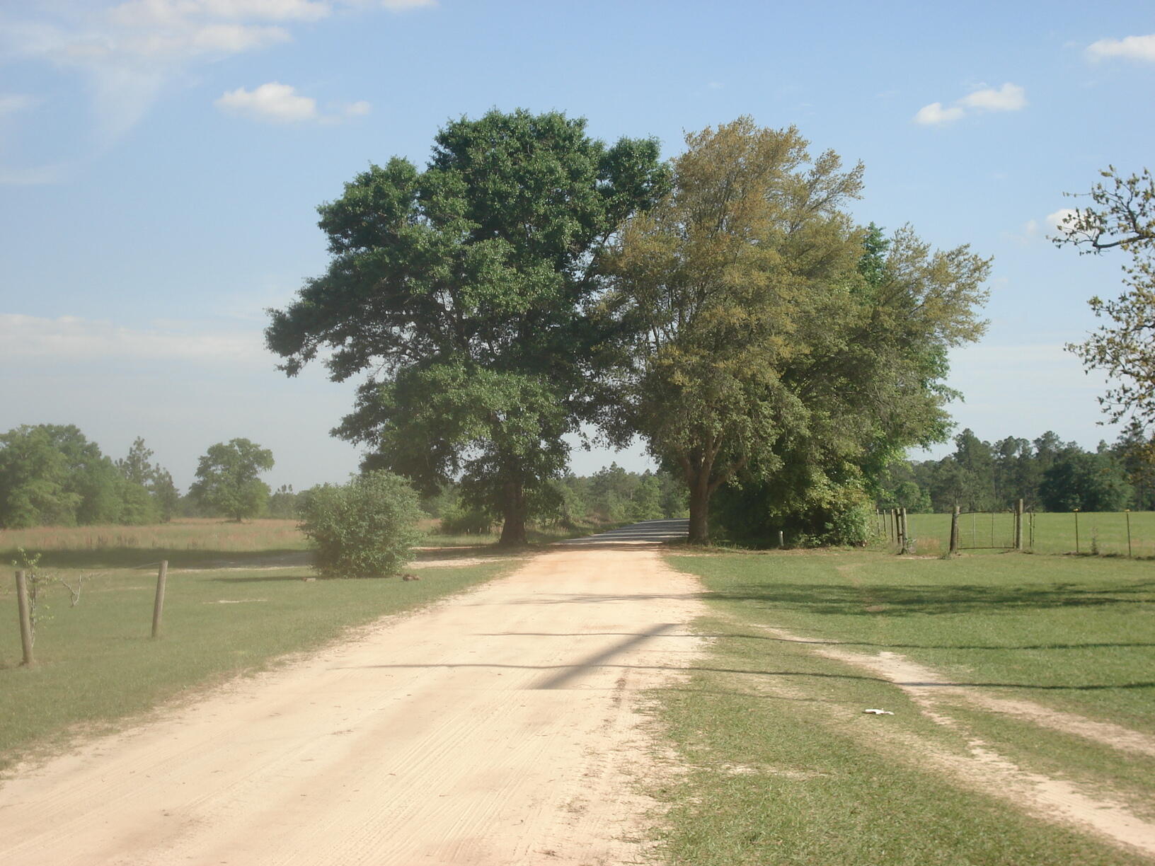 NE1/4 AKA GOVT LOTS 1 & 2 SUBJECT TO COUNTY EASEMET WITH DEED RESTRICTIONSlegal tbd - Land