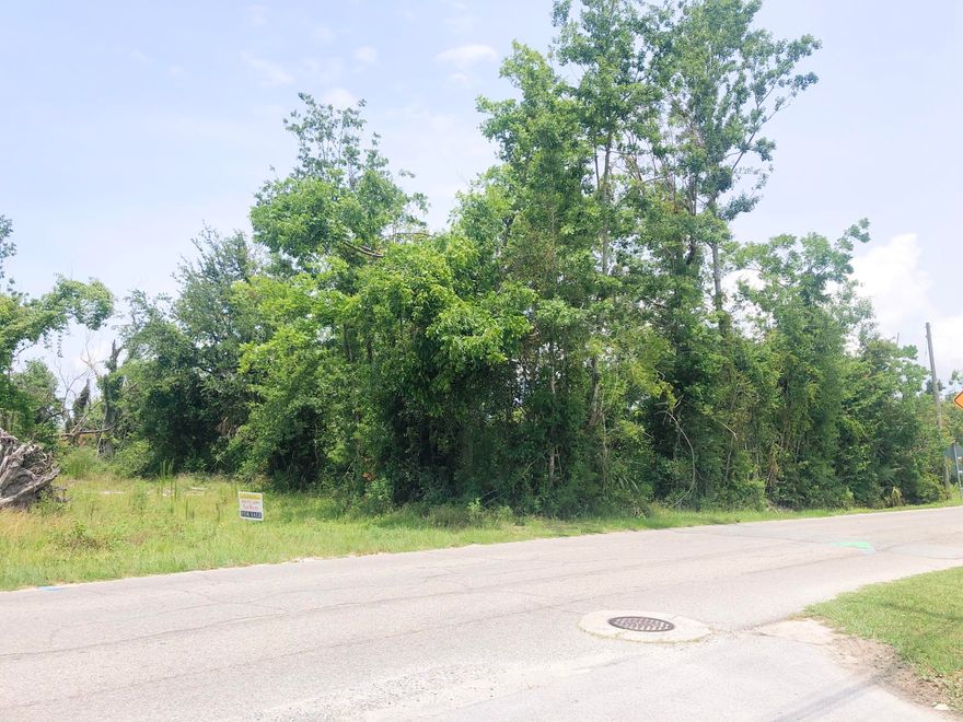 Almost 2.5 acres in Panama City