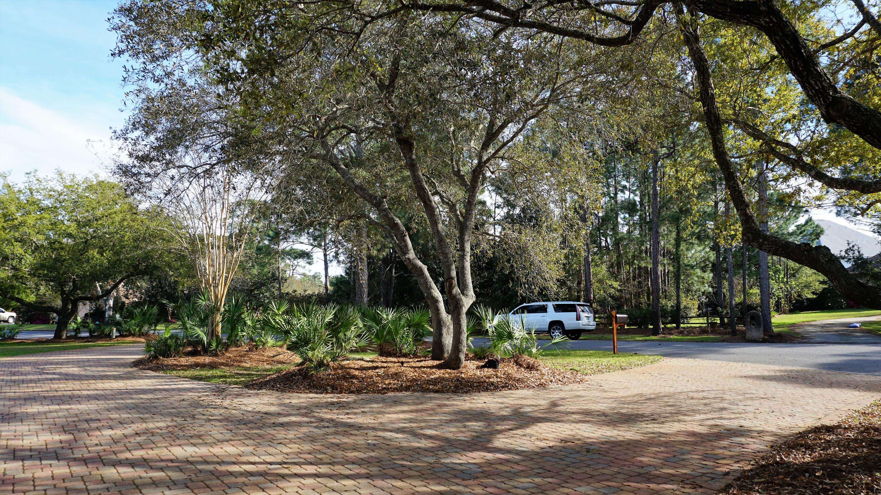 RAINTREE ESTATES - Residential