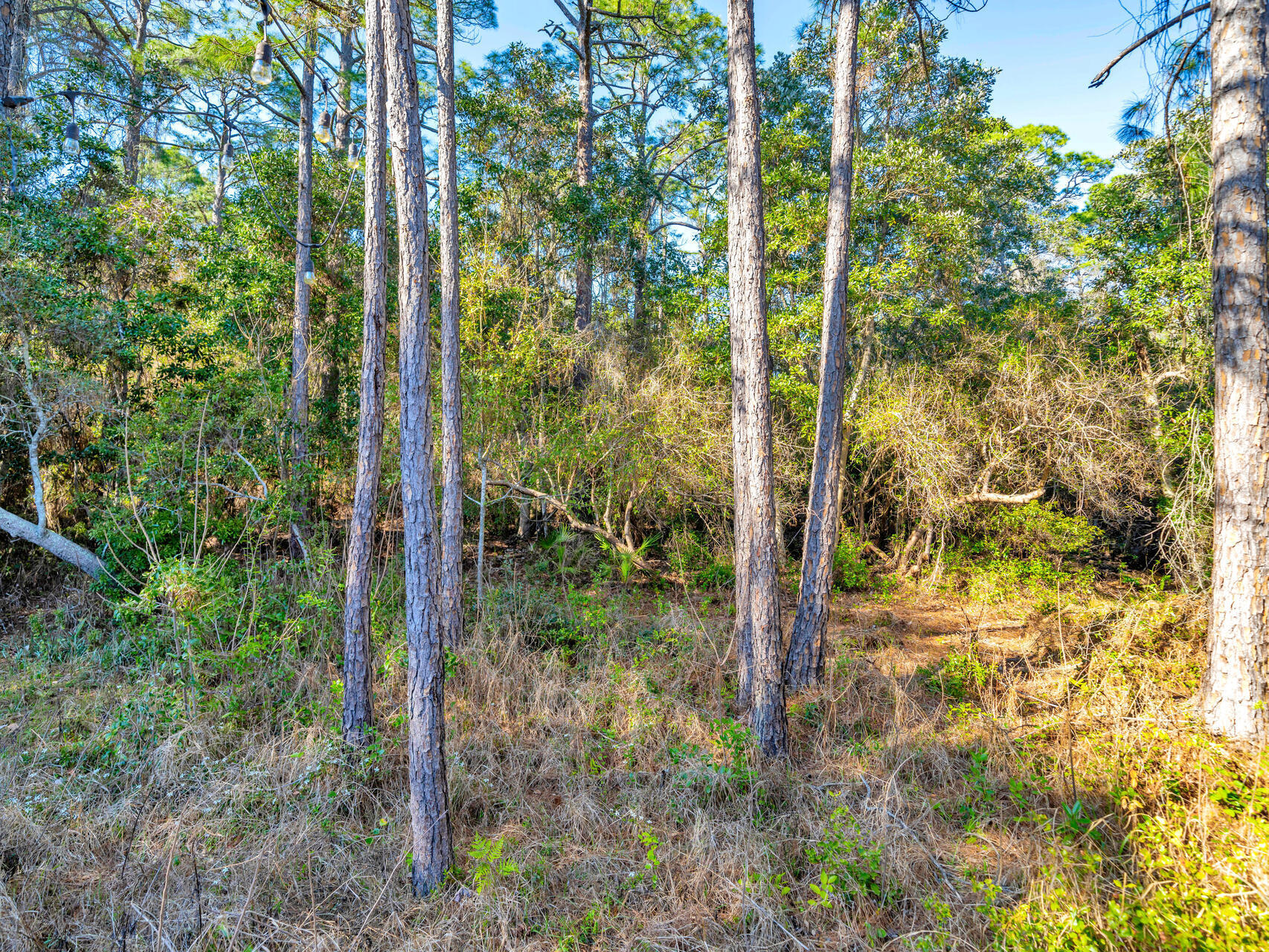 MARSH HARBOR - Residential Lease