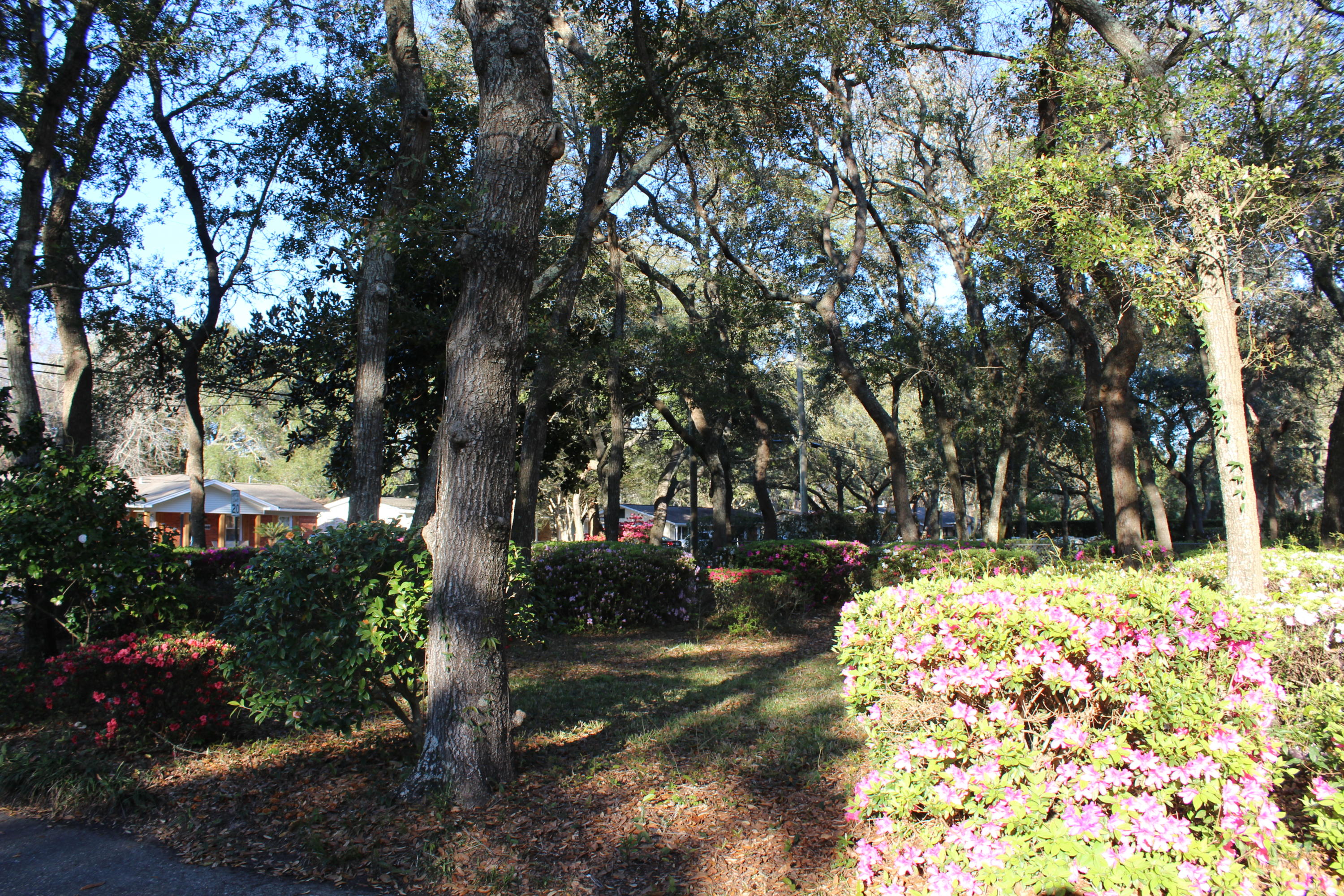 CHOCTAWMAR - Residential