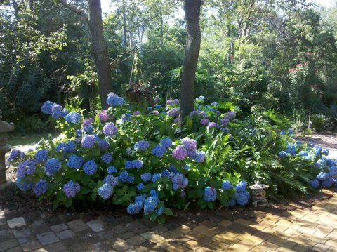 INDIAN CREEK S/D UNIT 2 - Residential