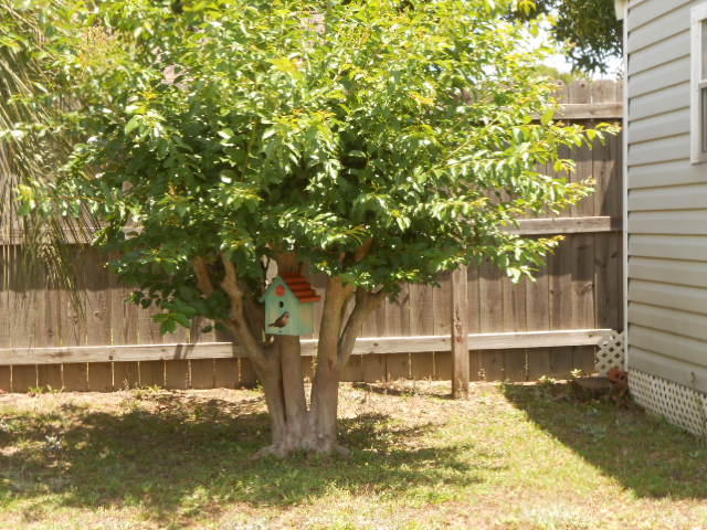 STEEPLECHASE PH 1 - Residential