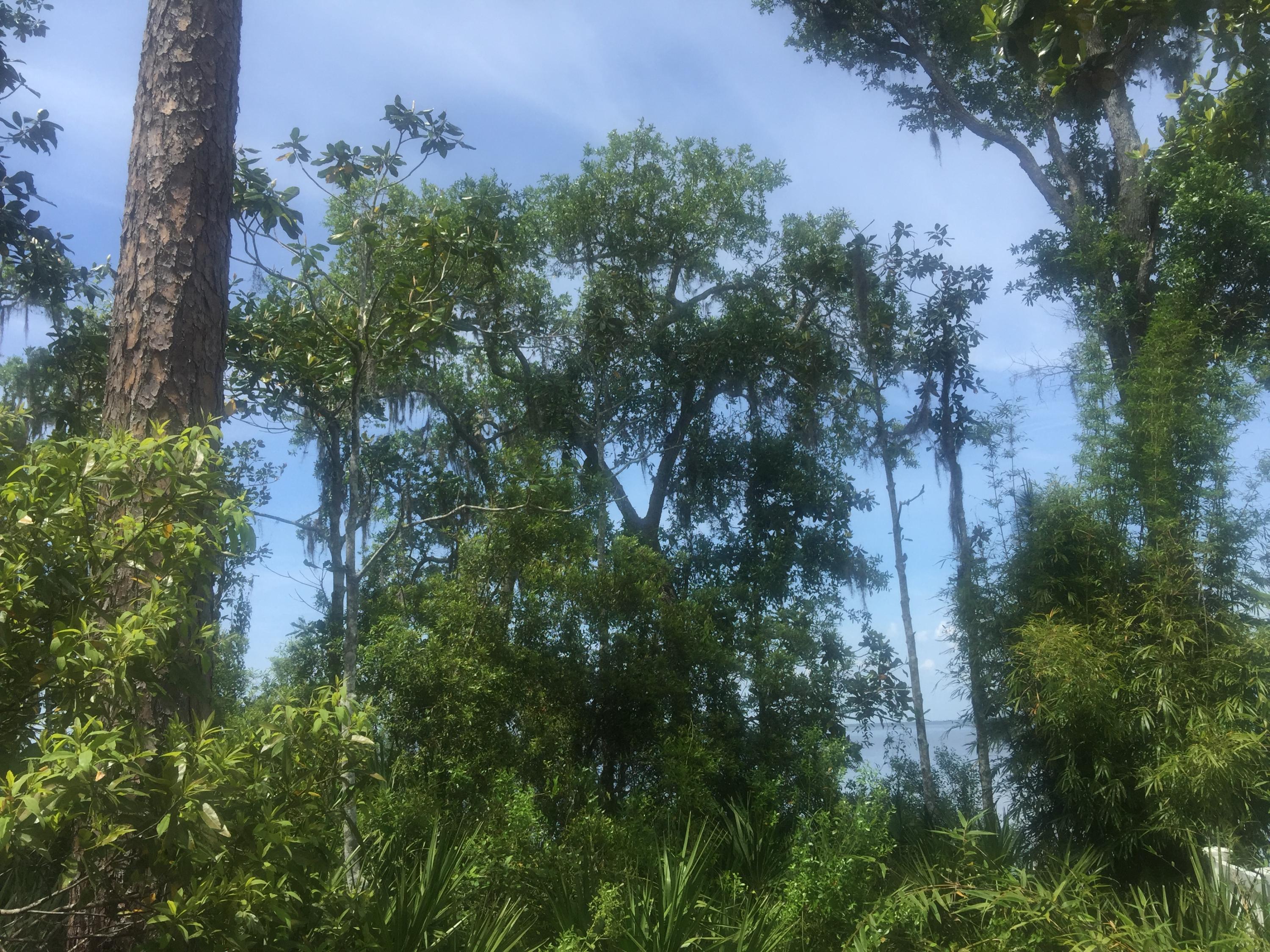 Magnolia Beachs - Land