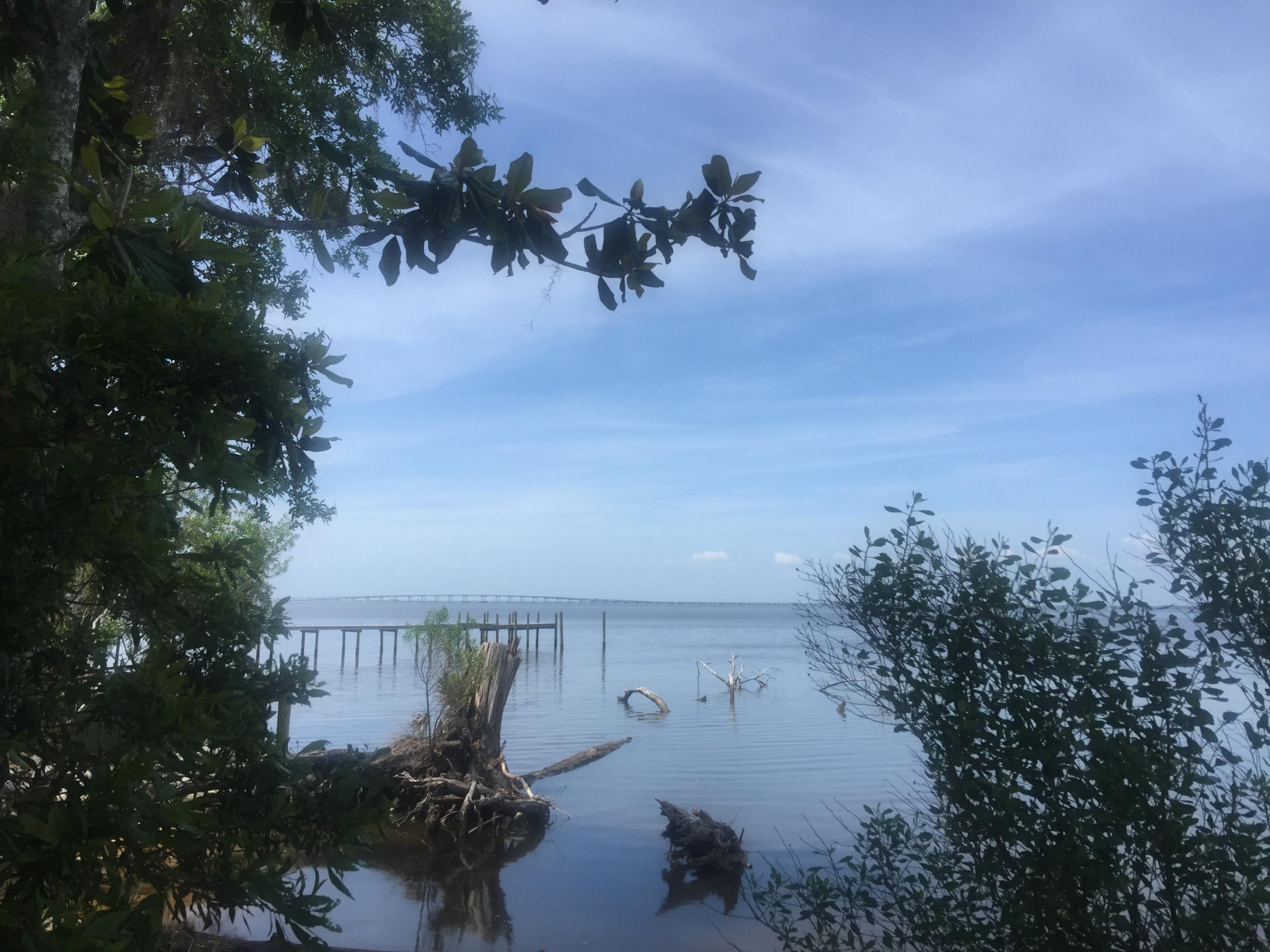 Magnolia Beachs - Land