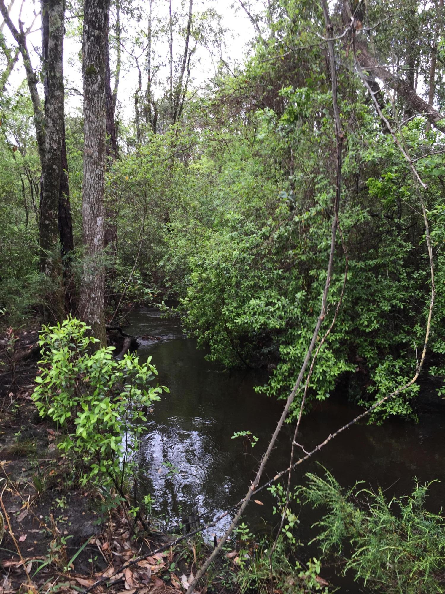 METES & BOUNDS - Farm