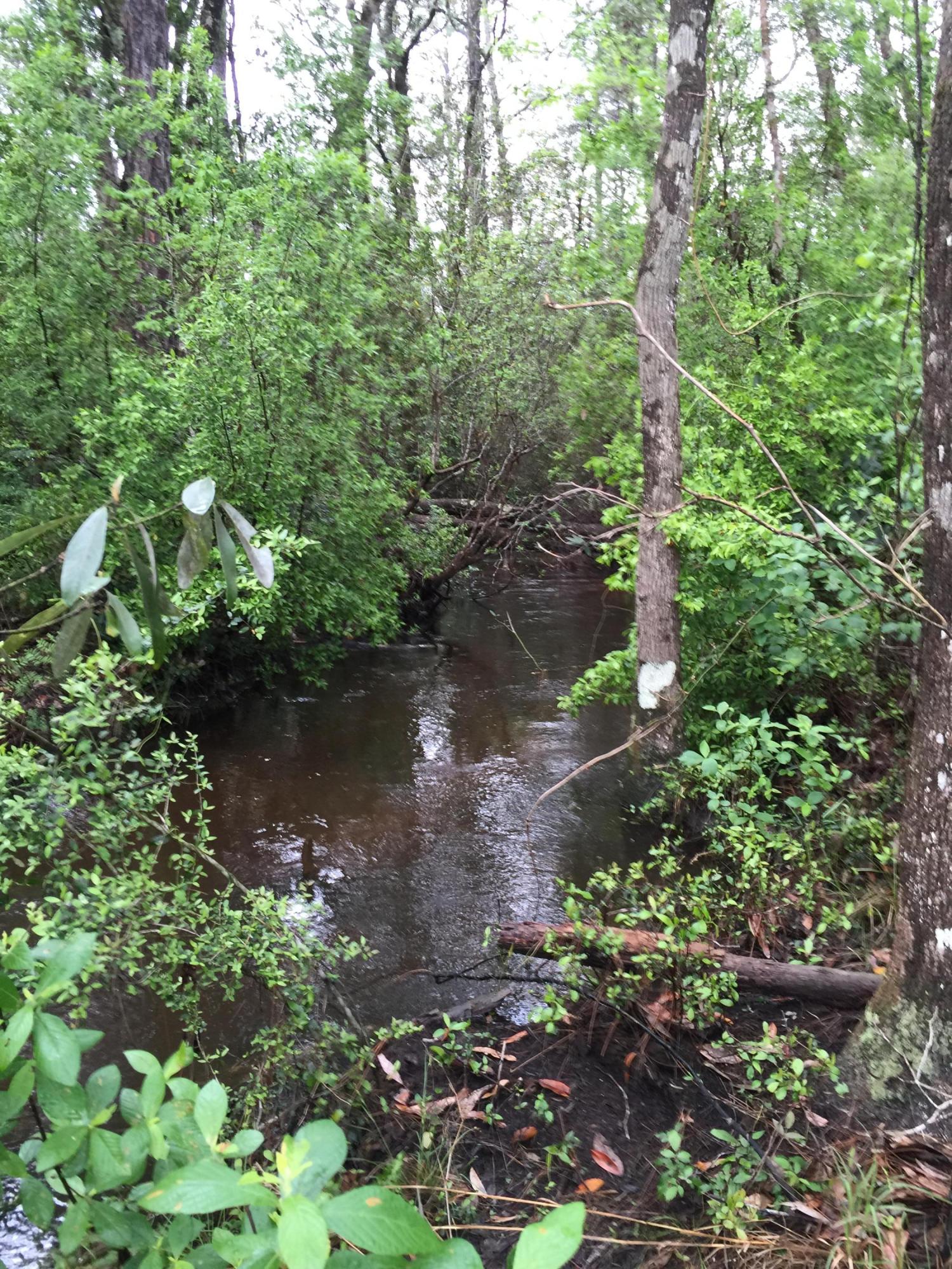 METES & BOUNDS - Farm