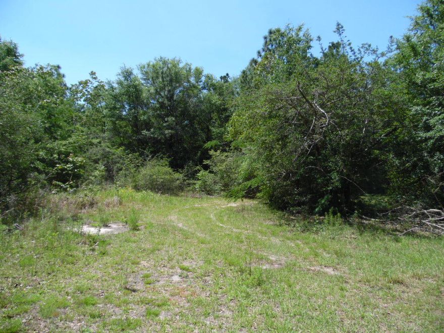 Take a look at this. 2 Acres with the power and water in place. Just minutes from town and 30 minutes from the Beautiful Beach.There is a mobile home and shed on the property that we have given no value.This property to be sold ASIS.
