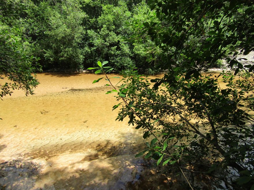 Amazing 12.63 Acres on a beautiful clear creek with a sandy bottom. This would make a dream home site with beautiful hardwoods and pine trees. Don't miss out on this one !!!
