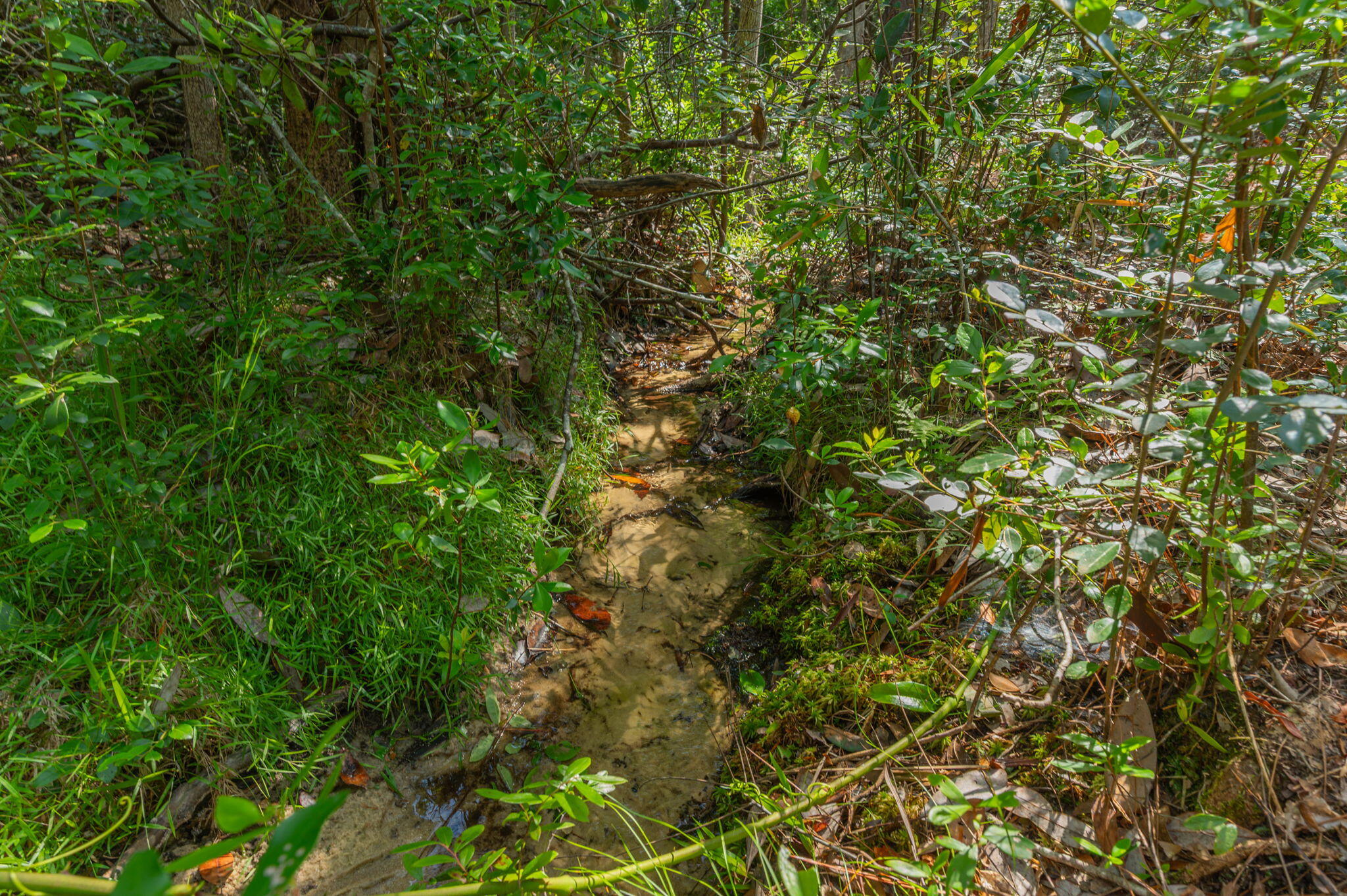 HIDDEN SPRINGS - Residential