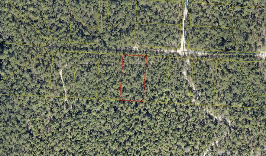Enchanting one-acre wooded lot offers a serene retreat surrounded by nature. Private, secluded haven, perfect for building your dream home or simply enjoying the peaceful outdoors. Located in the fast growing Mossy Head community with easy access to nearby Crestview and Defuniak Springs this lot combines the best of both worlds: a serene escape and convenient living. Embrace the beauty of Florida's landscape and make this charming wooded lot your own!