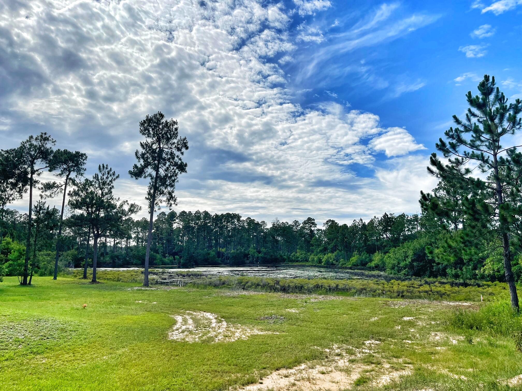 LAKE ROSEMARY SOUTH - Residential