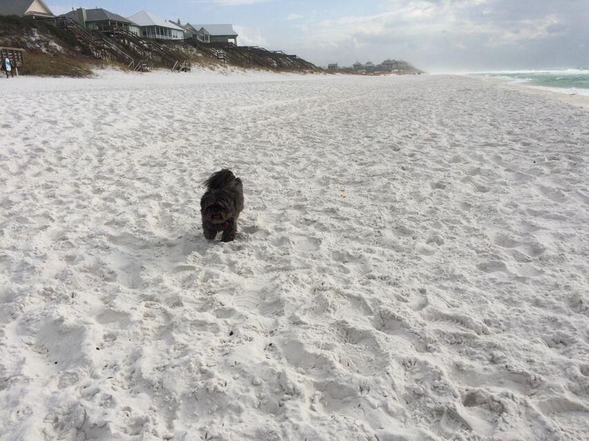 GULFVIEW HEIGHTS 1ST ADDN - Land