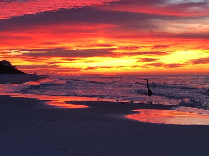 GULFVIEW HEIGHTS 1ST ADDN - Land