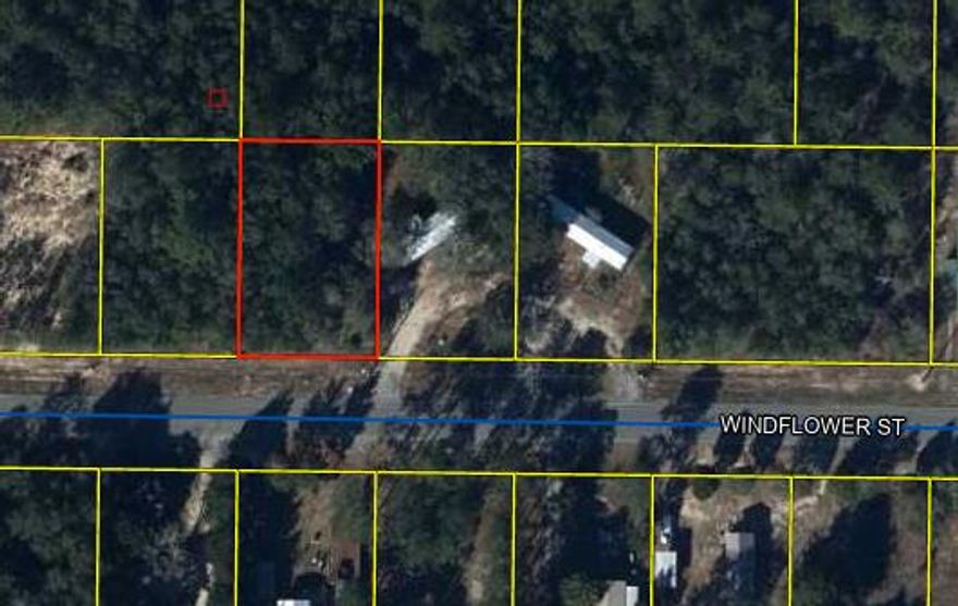 Fast Growing area of Mossy Head is perfectly situated off of Hwy 90 to allow for easy access to DeFuniak Springs and Crestview. This is a level lot with ease of access from paved road. Manufactured homes are allowed, flood zone x and land use code is low density rural residential. Other lots available.